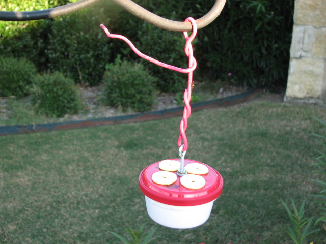 Saucer Feeder