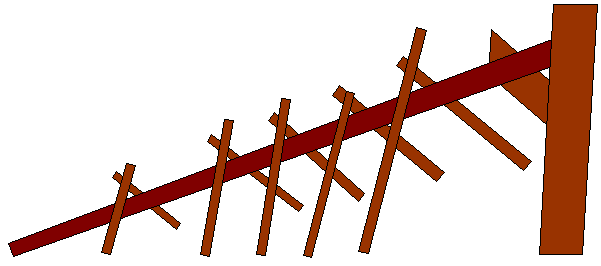 Backbone with ribs