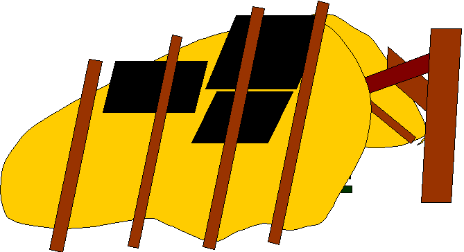 Backbone with ribs and slats and leaves and roof