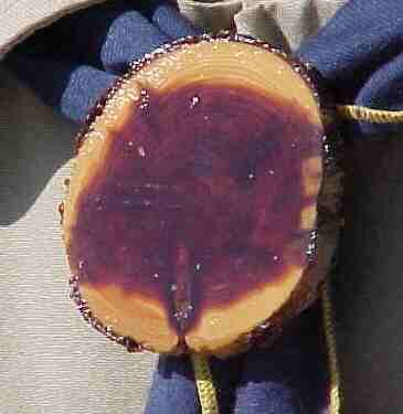 Cross Section