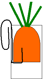 Cut-a-way drawing of carrot