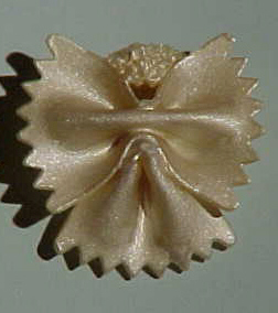 Back of Angel