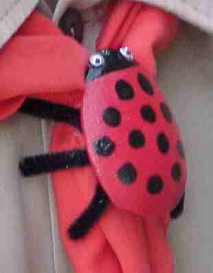 ladybug