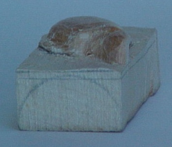Shell
